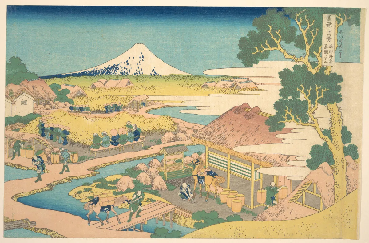 Fuji from the Katakura Tea Fields in Suruga (Sunshū Katakura chaen no Fuji), from the series Thirty-six Views of Mount Fuji (Fugaku sanjūrokkei) | Katsushika Hokusai - 浮世繪畫廊