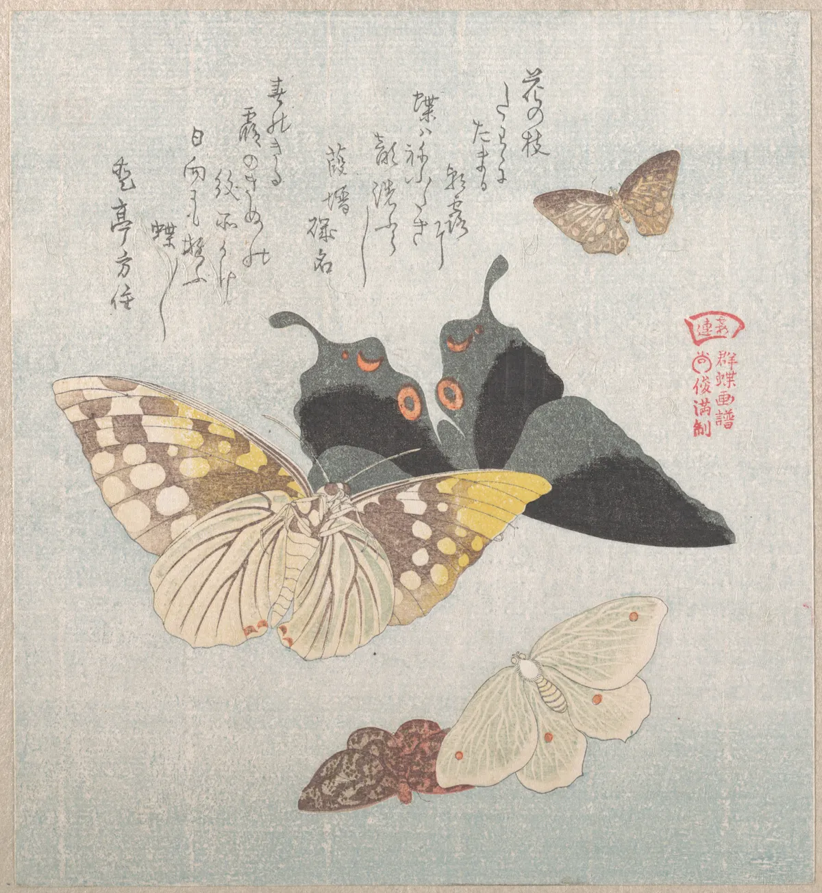Various moths and butterflies | Kubo Shunman - 浮世繪畫廊