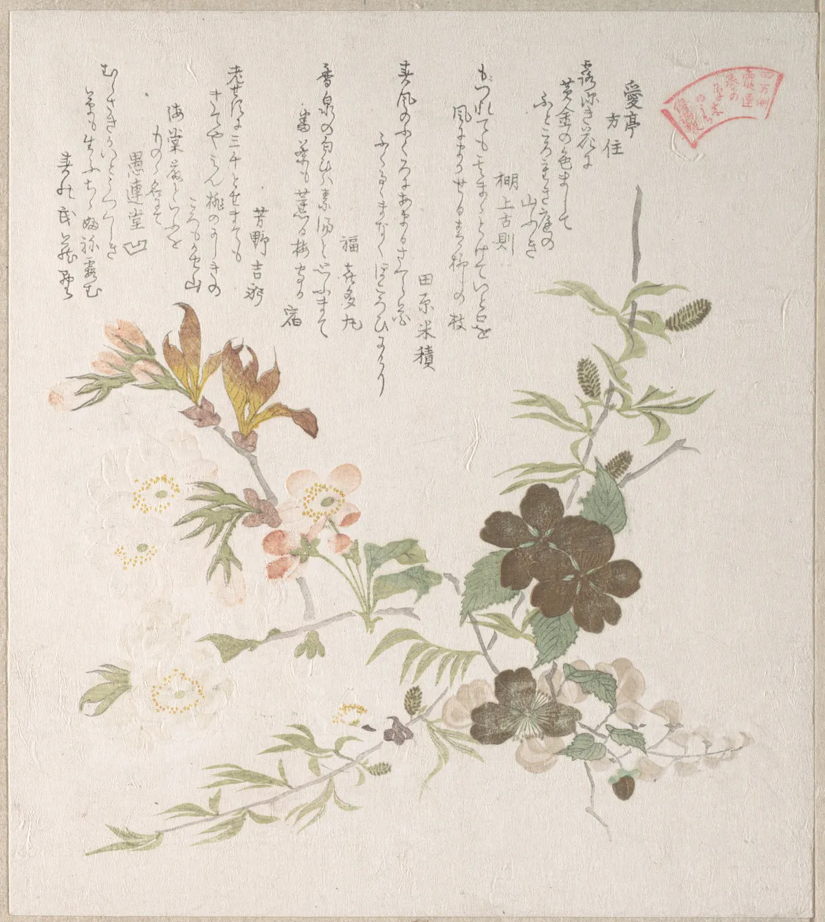 Cherry Blossoms and Yamabuki Flowers | Kubo Shunman - 浮世繪畫廊