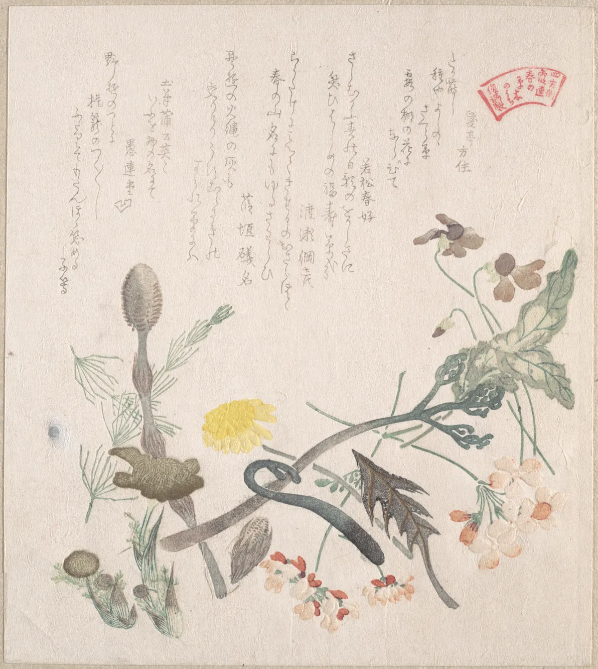 Violets, Primroses and Other Spring Flowers | Kubo Shunman - 浮世繪畫廊