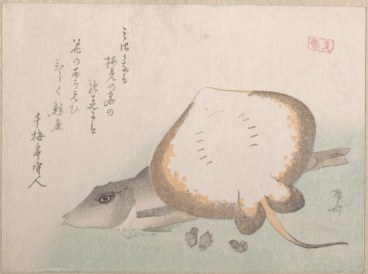Stingray and Gurnard | Ryūryūkyo Shinsai - 浮世繪畫廊