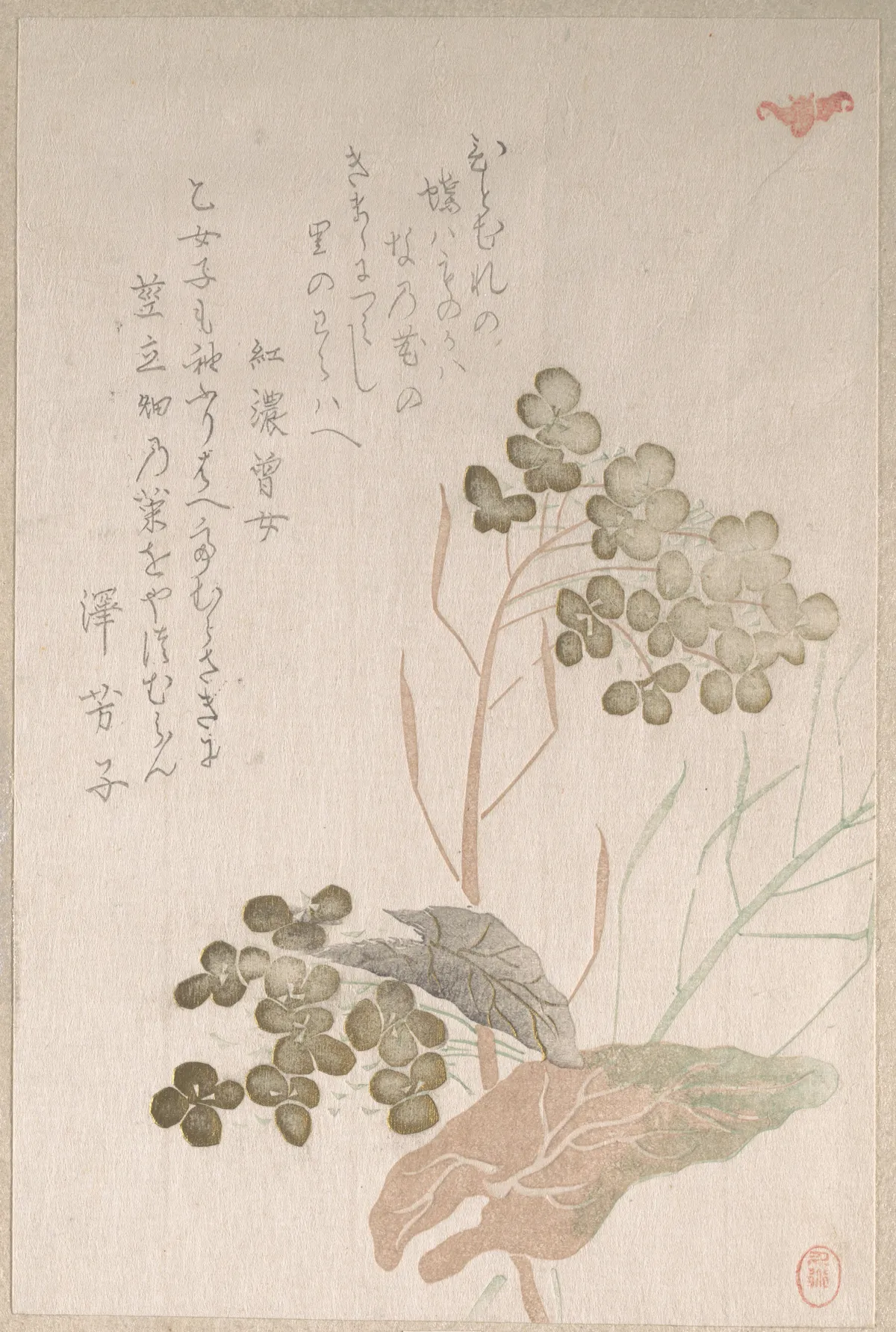 Natane Flower | Unidentified artist - 浮世繪畫廊