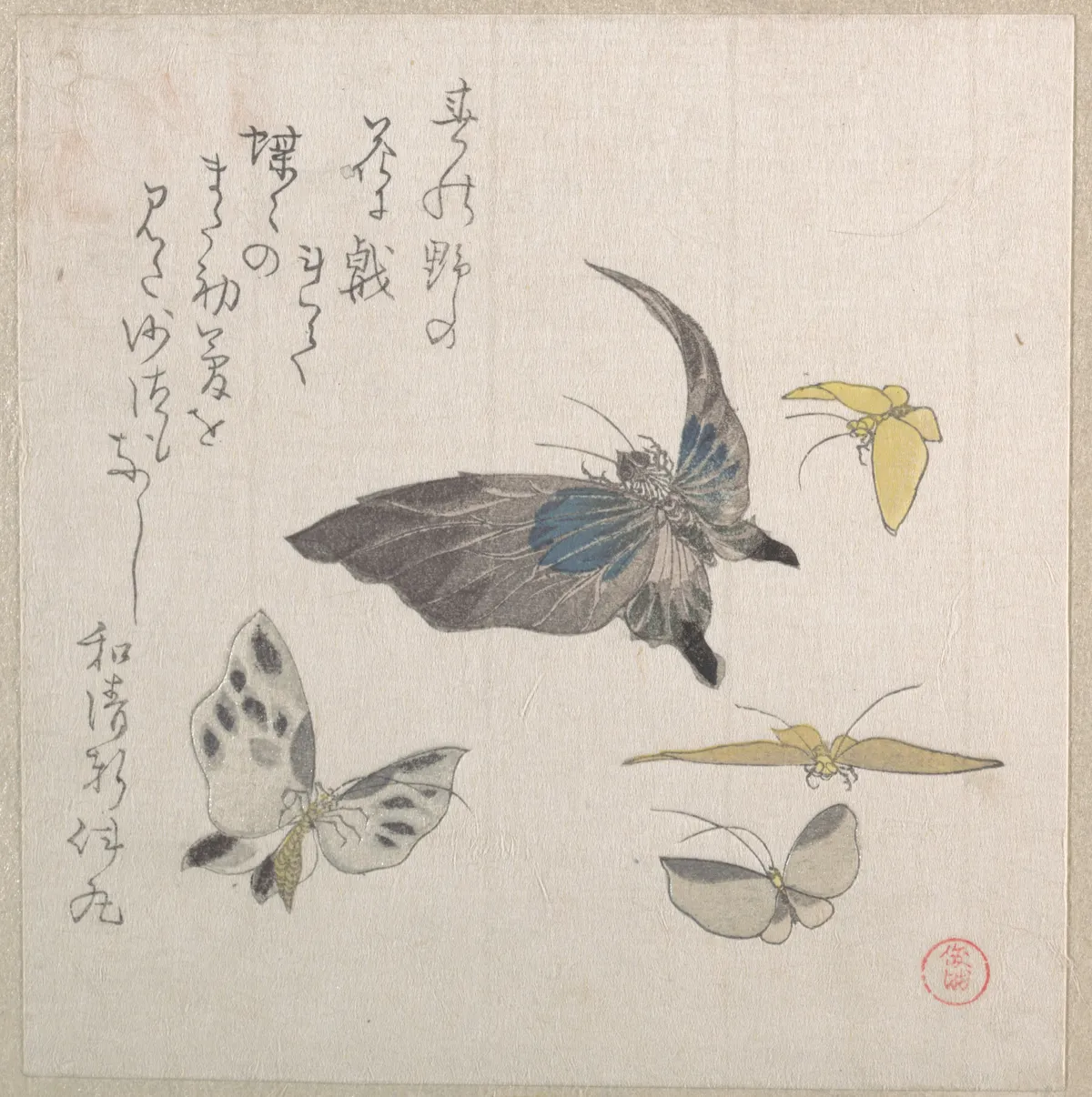 Butterflies | Kubo Shunman - 浮世繪畫廊