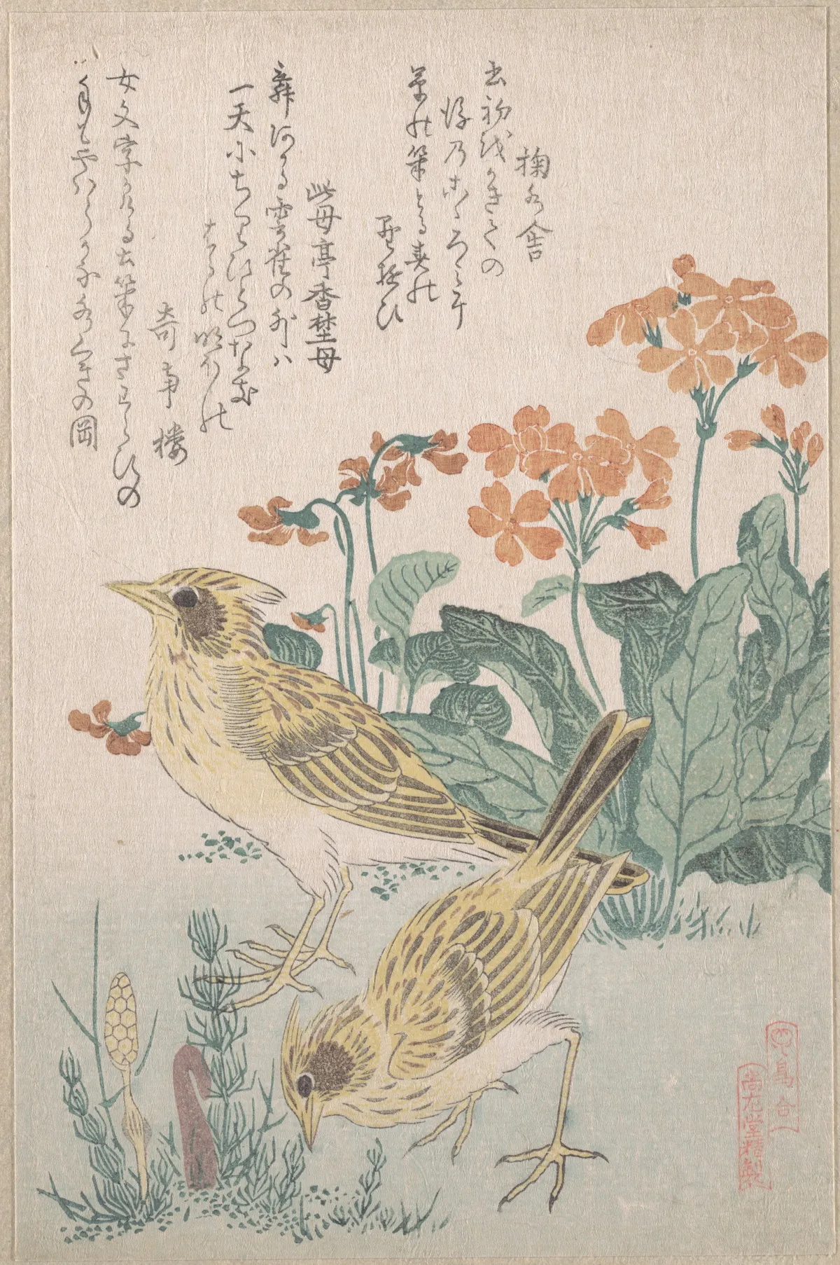 Skylarks and Primroses,” from the Series An Array of Birds (Tori awase), from Spring Rain Surimono Album (Harusame surimono-jō, vol. 3) | Kubo Shunman - 浮世繪畫廊