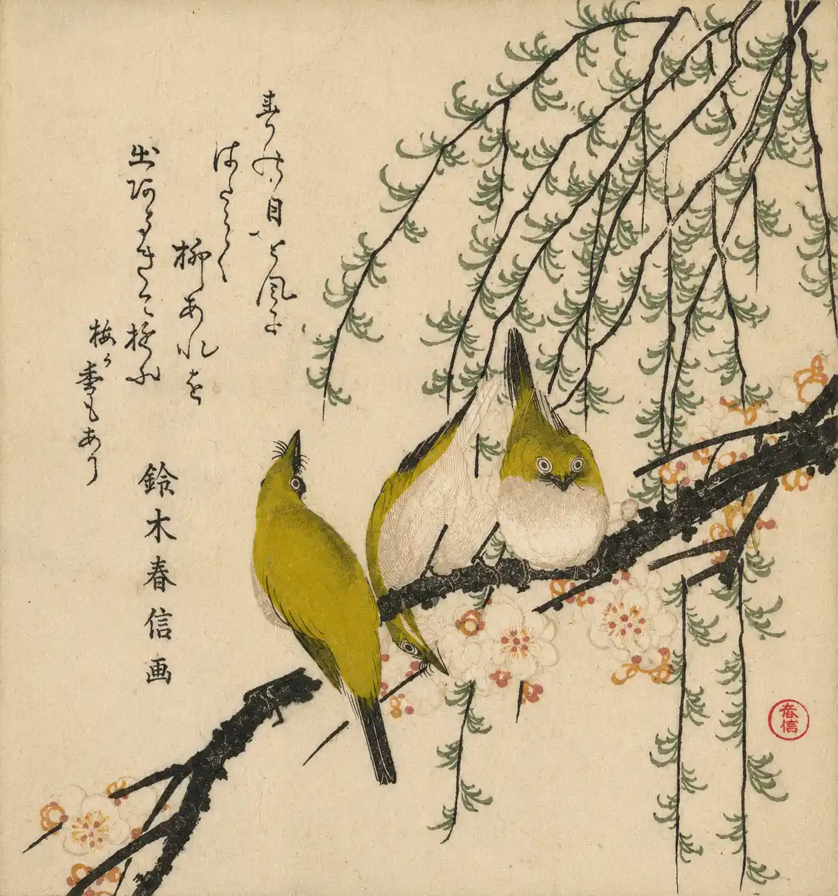 Japanese White-eyes with Plum Tree and Willow, from Spring Rain Surimono Album (Harusame surimono-jō, vol. 3) | Kubo Shunman - 浮世繪畫廊