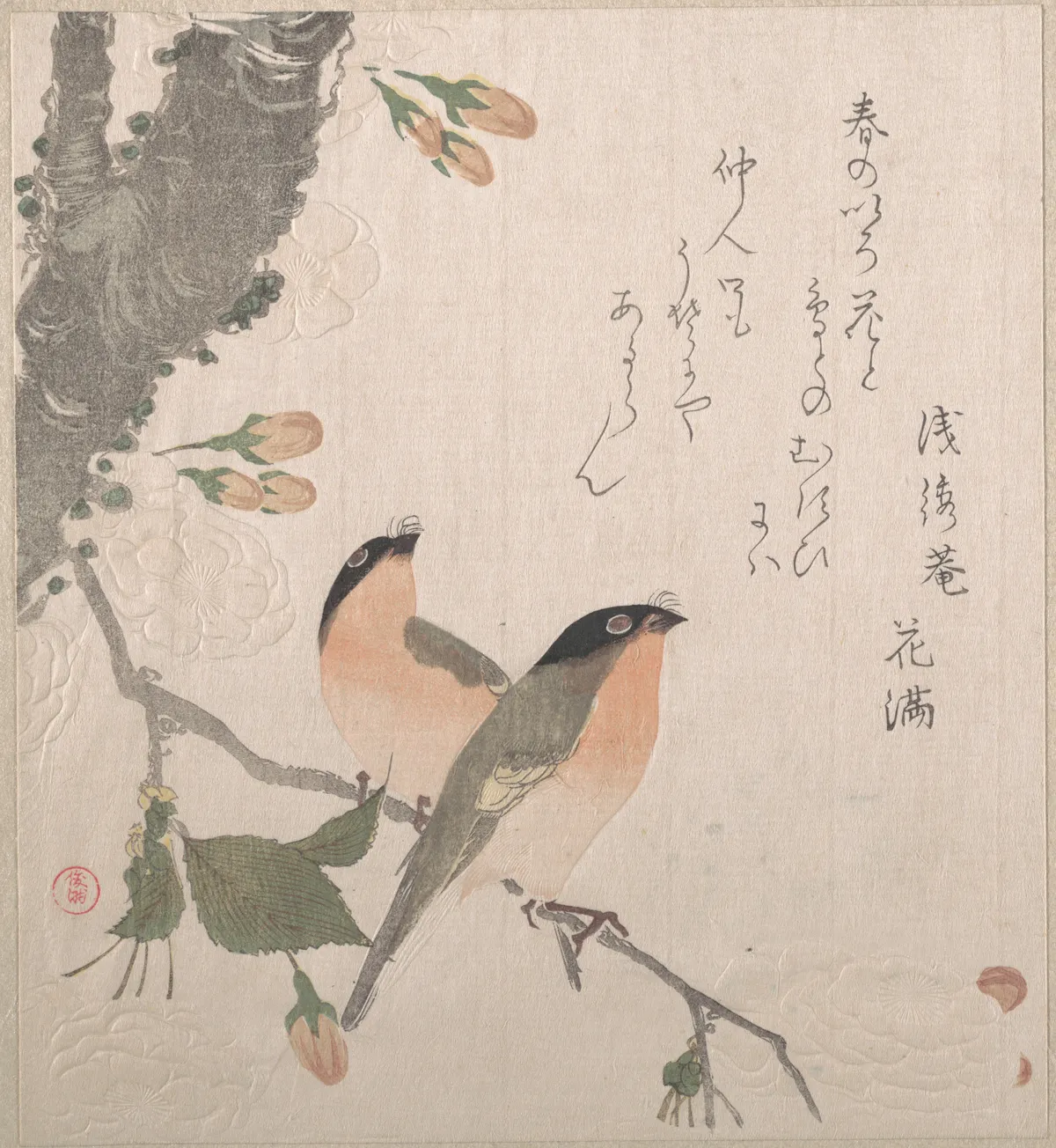 Bullfinches and Cherry Blossoms | Kubo Shunman - 浮世繪畫廊