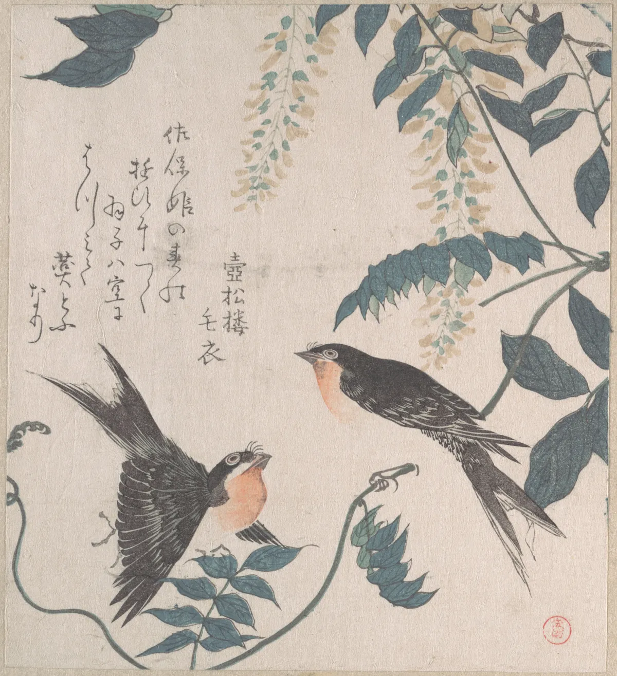 Swallows and Wisteria | Kubo Shunman - 浮世繪畫廊