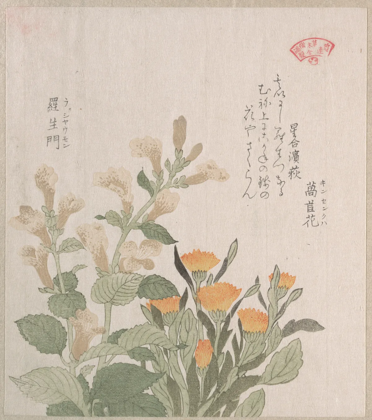 The Common Marigold and The Rajoman Flowers | Kubo Shunman - 浮世繪畫廊