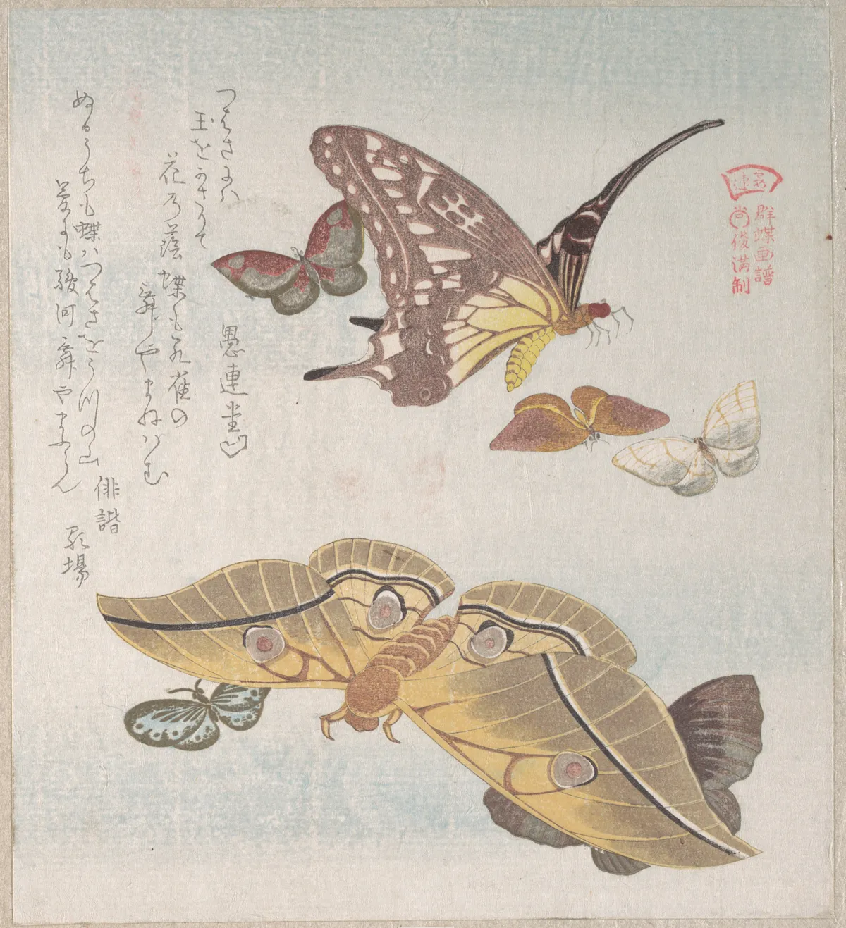 Various Moths and Butterflies | Kubo Shunman - 浮世繪畫廊