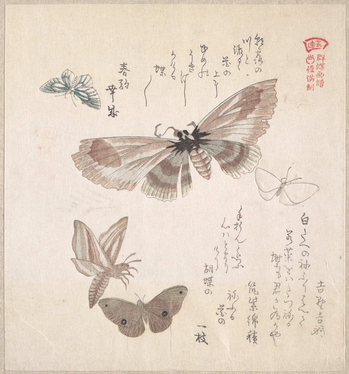 Various Moths and Butterflies | Kubo Shunman - 浮世繪畫廊