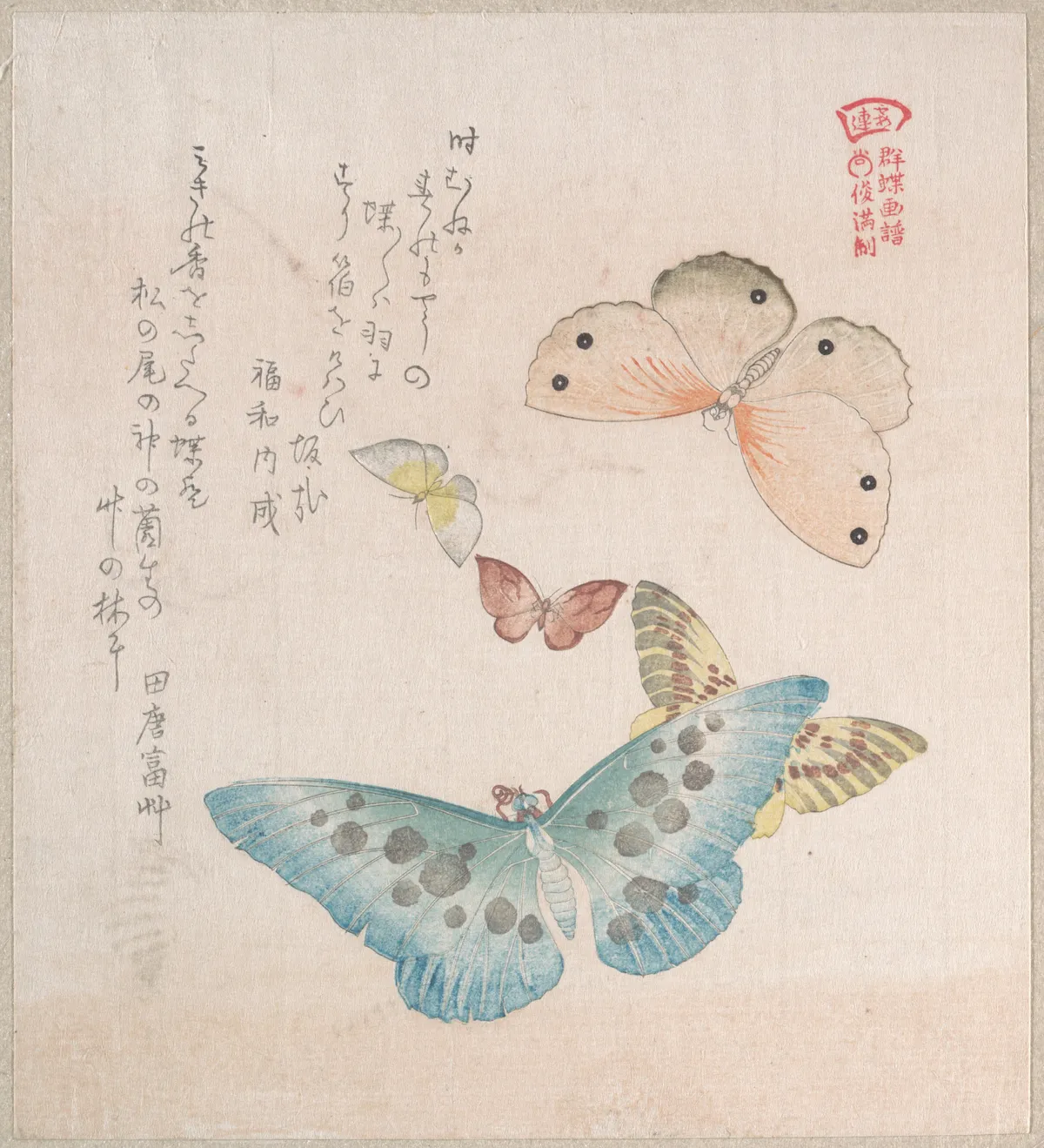 Various Moths and Butterflies | Kubo Shunman - 浮世繪畫廊