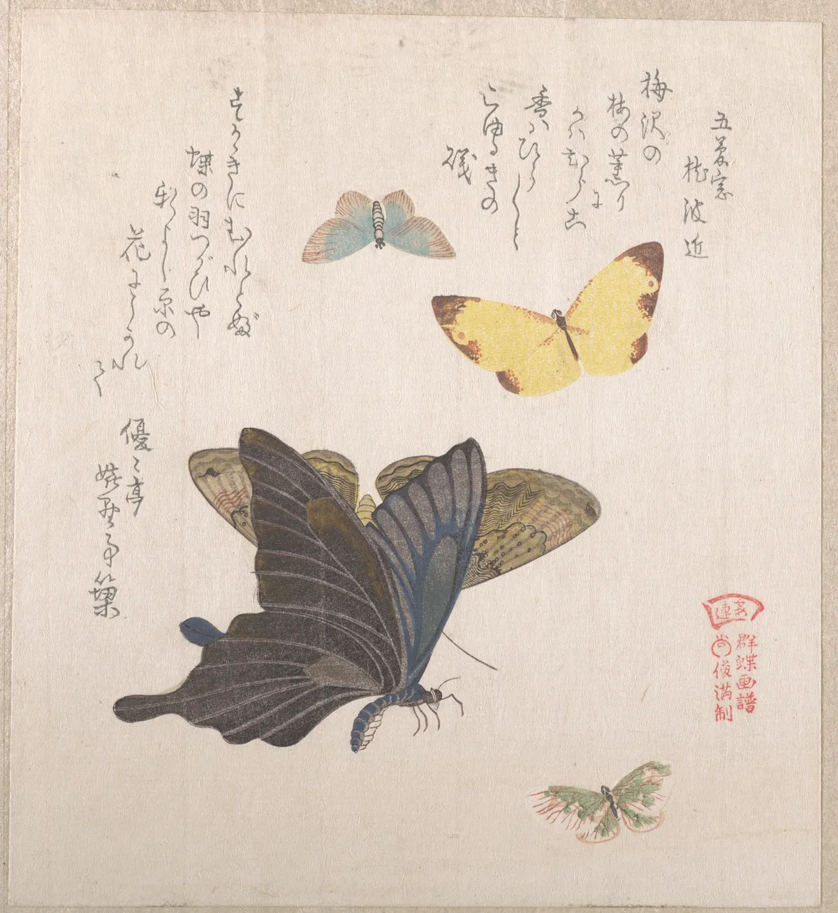 Various Moths and Butterflies | Kubo Shunman - 浮世繪畫廊