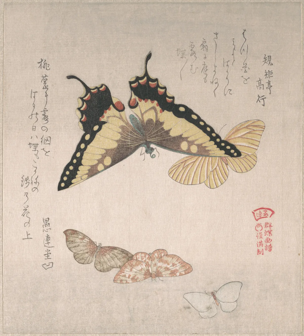 Various Moths and Butterflies | Kubo Shunman - 浮世繪畫廊