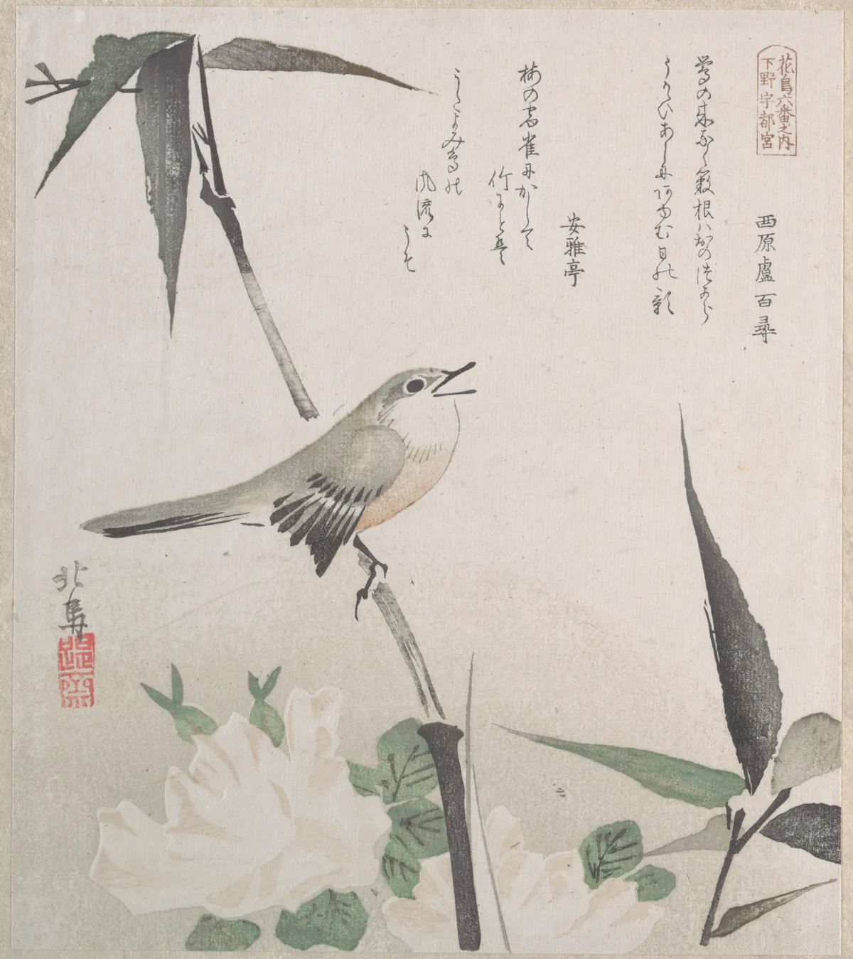 Roses and Bamboo with Nightingale | Teisai Hokuba - 浮世繪畫廊