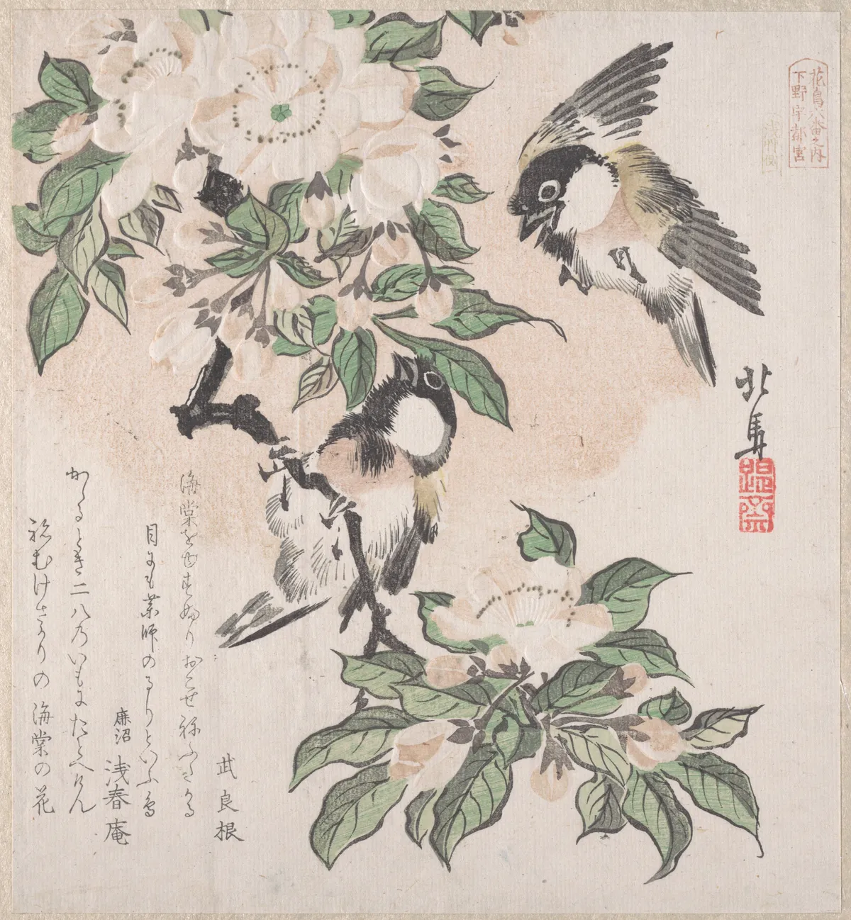 Spring Rain Collection (Harusame shū), vol. 3: Marsh-tits and Crab Apple Flowers | Teisai Hokuba - 浮世繪畫廊