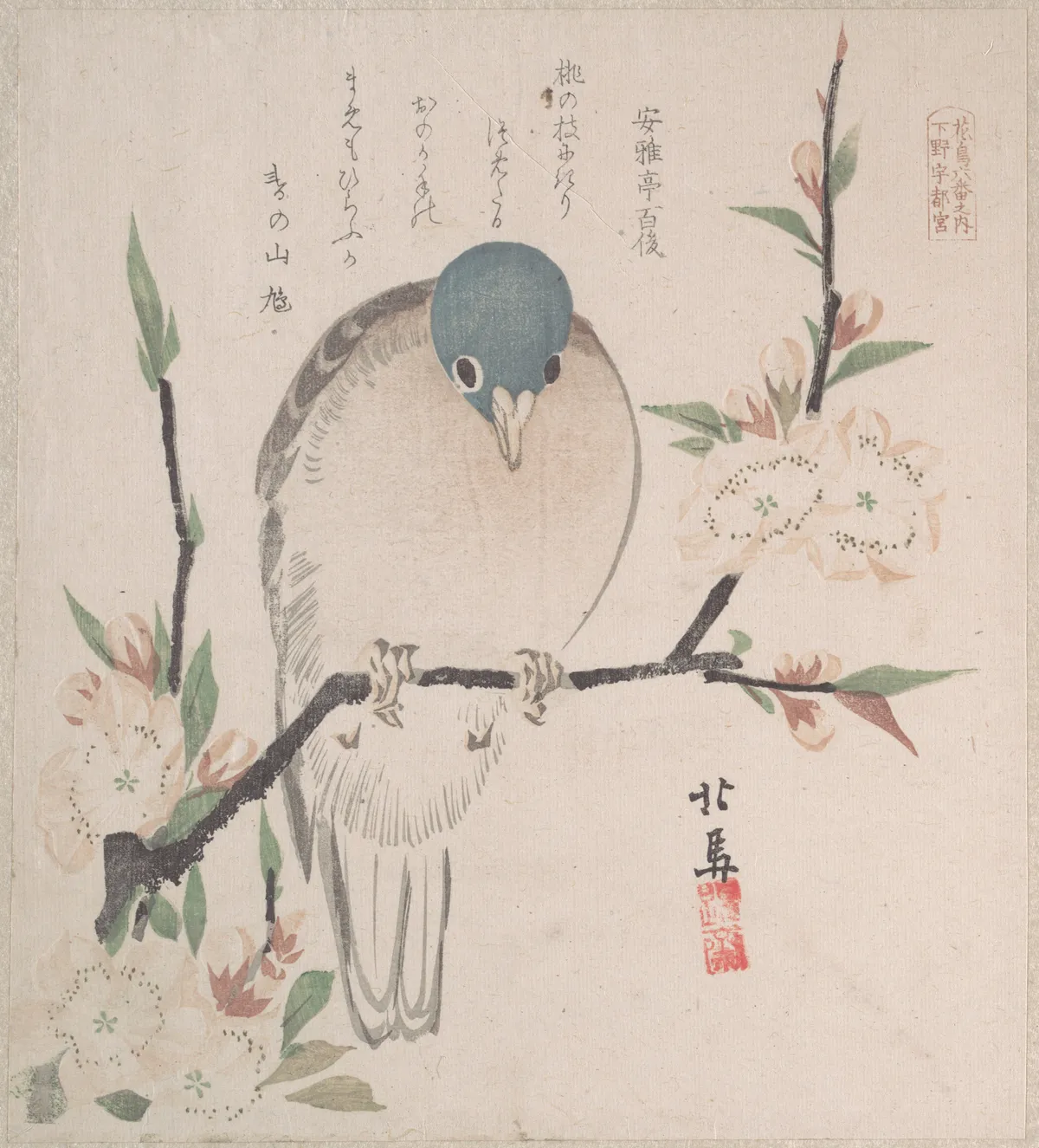 Spring Rain Collection (Harusame shū), vol. 3: Mountain Dove and Peach Flowers | Teisai Hokuba - 浮世繪畫廊